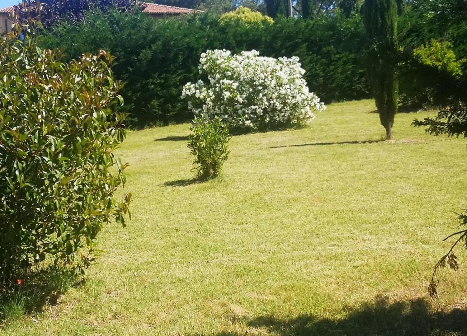 Podere Simonetta - A4 Cecina  Holiday home