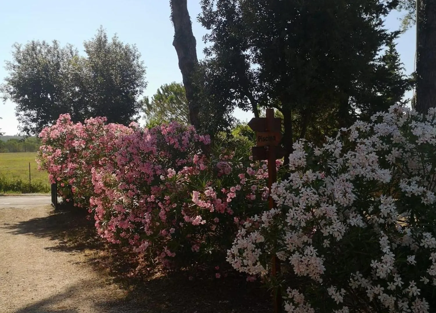 Podere Simonetta - A4 Cecina